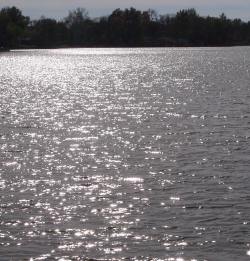 lake Sunshine on lake