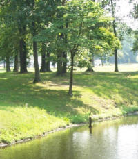 stream A sunny stream