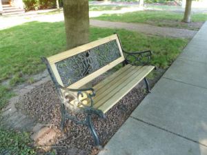 bench