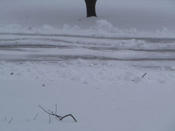 Snow, snow everywhere!