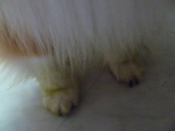 I've got green feeties!!