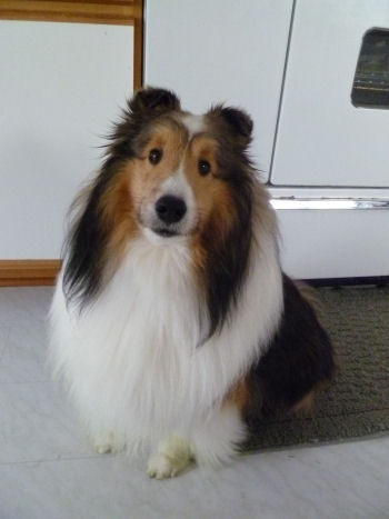 What's so funny, Mama??