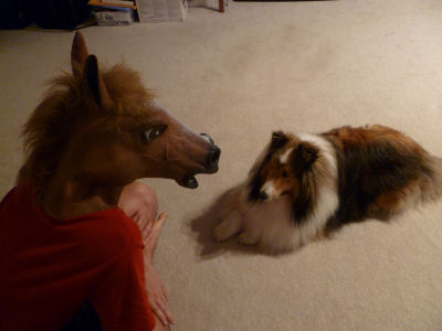 Dallas and the horse