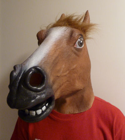 Horse mask