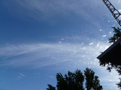 Almost looks like snow, huh?