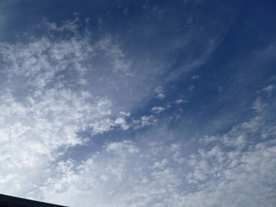 I can only imagine what fun God must have had creating these!