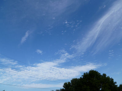 Cirrus clouds indicate a weather change in 24 hours.