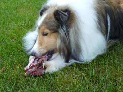 What a lovely surprise!