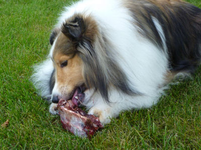 Do you see my bone getting smaller?