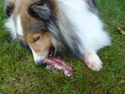 Don't look at my feeties -- yes, they're a mess!