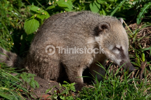 Thanks to Thinkstock for this image