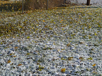 And all the leaves still haven't fallen.