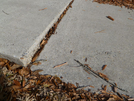 Uneven sidewalk