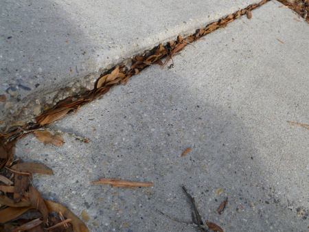 An accident waiting to happen!