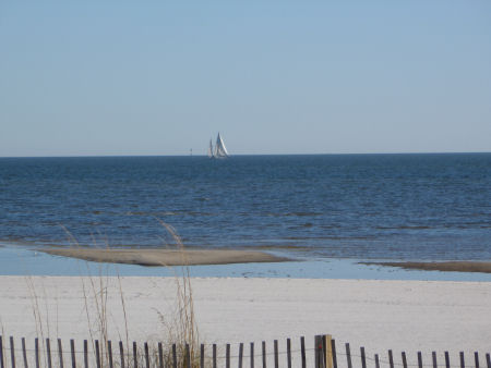 Sailboat on the Gulf