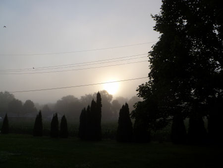 Fog blankets the eastern sky over Central Illinois
