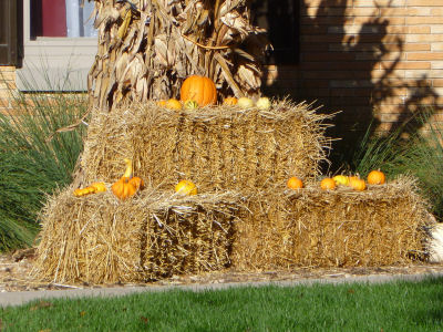 This display features some dried corn plants, bales of hay, and pumpkins