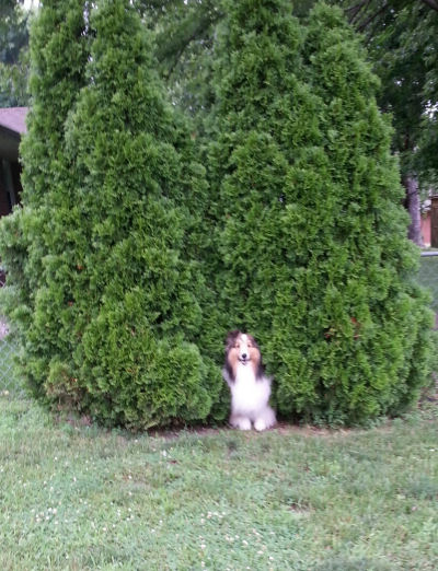 Oh, Hi! Did somebody call for me??