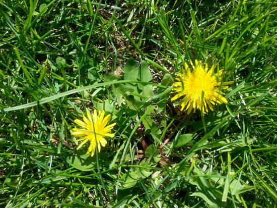 They're b-a-a-a-a-c-k!!