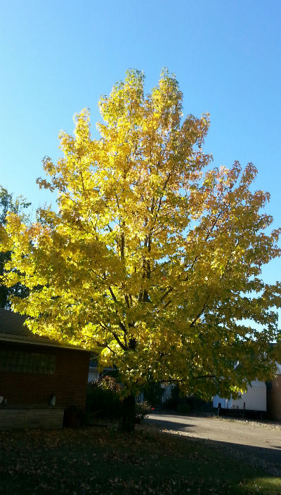 Almost like looking at the sun!