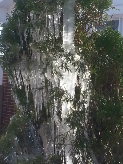 icicles2