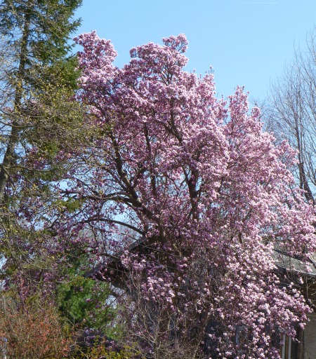 No idea what this is, but it's spectacular